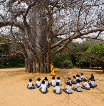 Learning under the ancient baobab tree